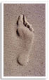 Footprint.